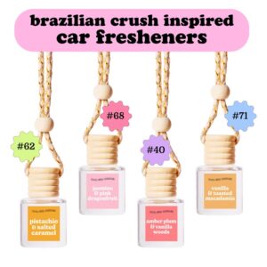 Rio Inspired Car Freshener Set