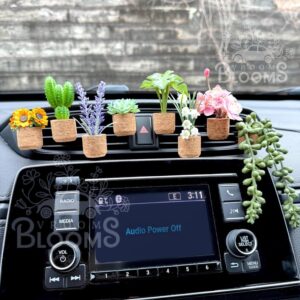 Succulent Vent Clip Diffuser