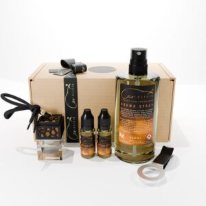 Luxury Car Gift Fragrance Set